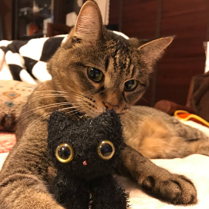 E9fbbba1 c703 4c0a 860e d841de4cb62f 1539267798790