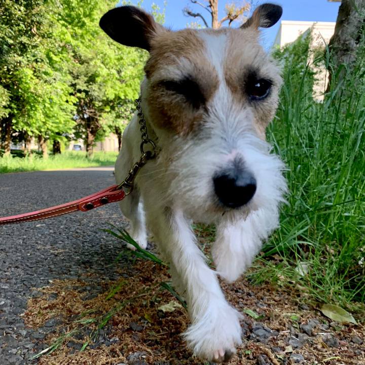 E9fbdcef a2a3 4259 b54c 84e5ab4258fa 1619139715367