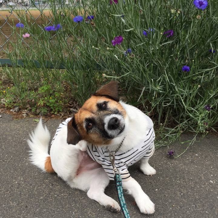 E9fc5cc2 d3cc 4f91 9448 daa6288b8259 1557376987100