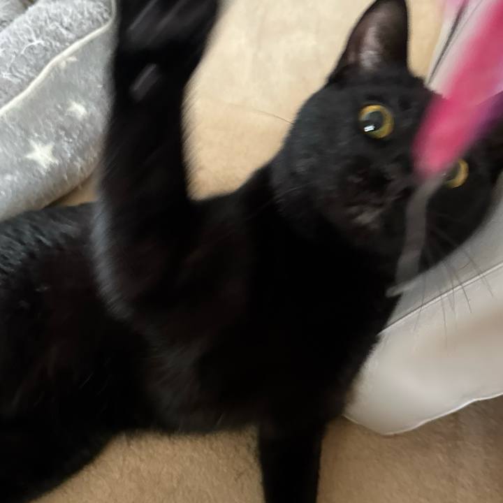 E9fc67bd 680b 4cc5 9214 d09acfb68ec2 1742168834216