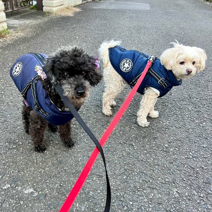 E9fc6b6e 43ce 48e7 8777 377e386f0756 1769156207218