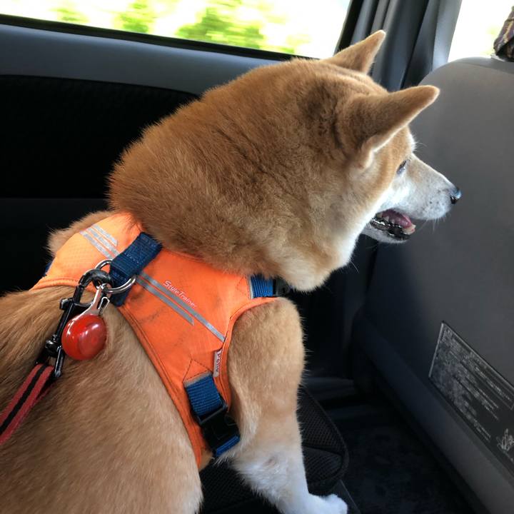 E9fcd438 9035 469b bdc5 86b177e82200 1565694916842