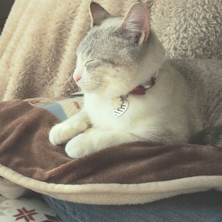 E9fcf2b9 dc88 4e04 a09b b95f30bf6d1d 1521260505604