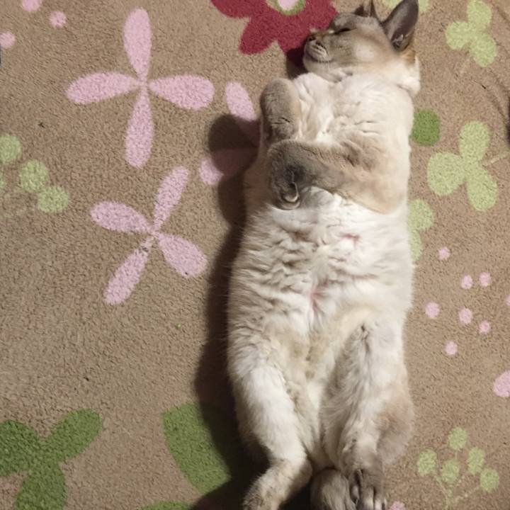 E9fd0c6c 76d3 4368 856f 1da3726bb8c4 1578002053562