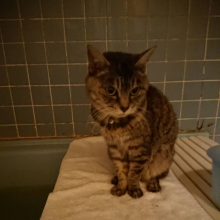 E9fd3fe1 40a5 4fee 84f3 922ebf6c5e21 1575278752705