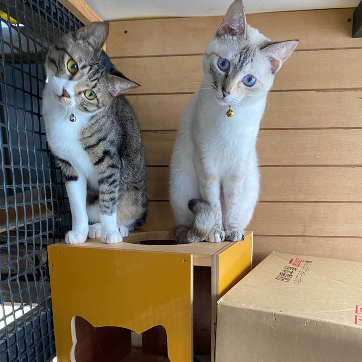 E9fd59b1 8e2a 4e54 b8c3 eee939ccd680 1654562627653