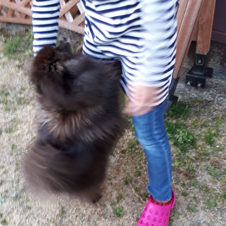 E9fdf3a6 2cea 4e16 af0c ad4e73c3b054 1519722229754