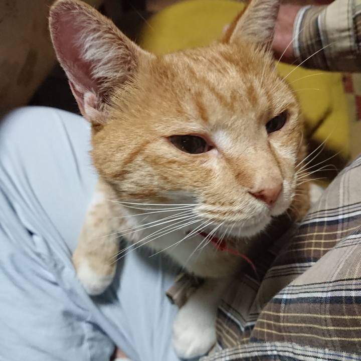 E9fdf7ed aa06 41c8 9e1b 1f676197e5fc 1571433721576