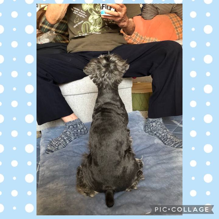 E9fdfae2 af71 4f7b addd 402554b52646 1687183781403