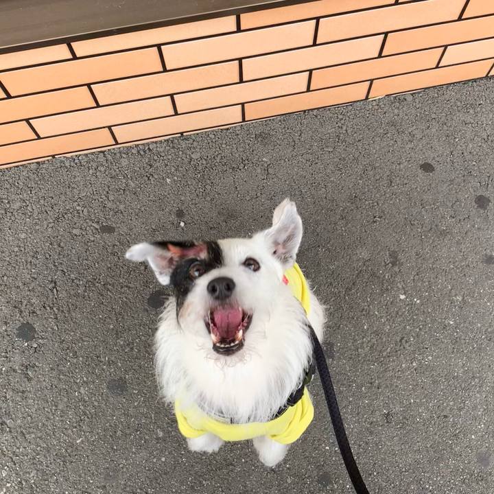 E9fe3bd1 c656 4ad7 9a4d 9d8a24ace718 1686616088703