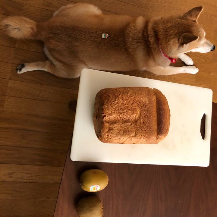 E9fe448c 59d8 4269 b004 9edc817083ac 1597819328401