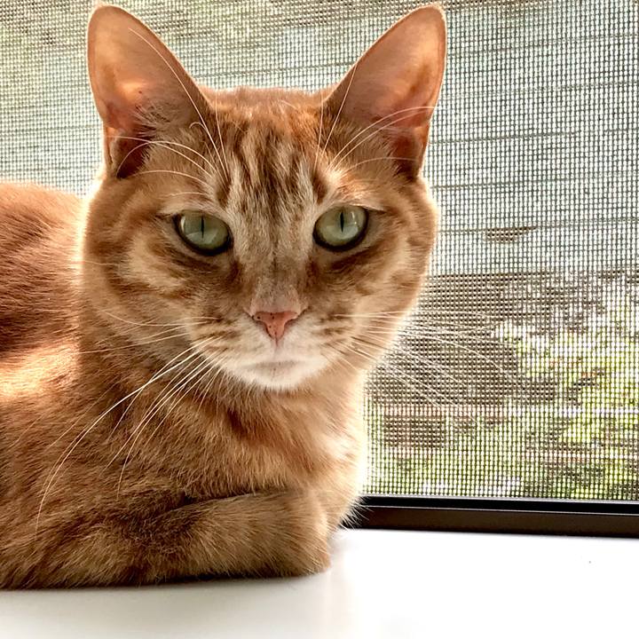 E9fe754c ff1f 48fa 854b 3973c2f4eeb8 1529636918306