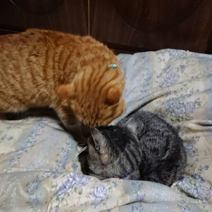 E9fec611 9fbd 46d4 bfff c87db7caaeaf 1579870652734