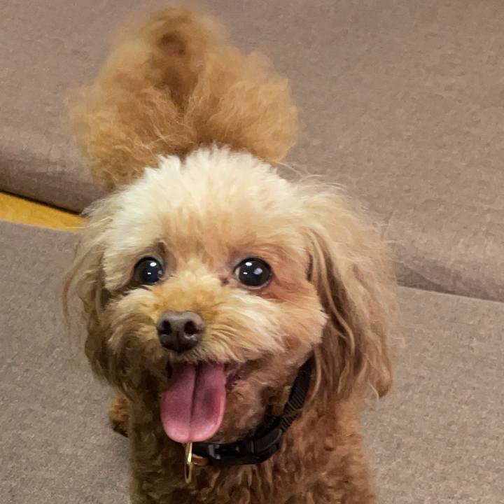 E9fed824 ea29 4dec 9ee3 b01c0ac5d21c 1752538466013