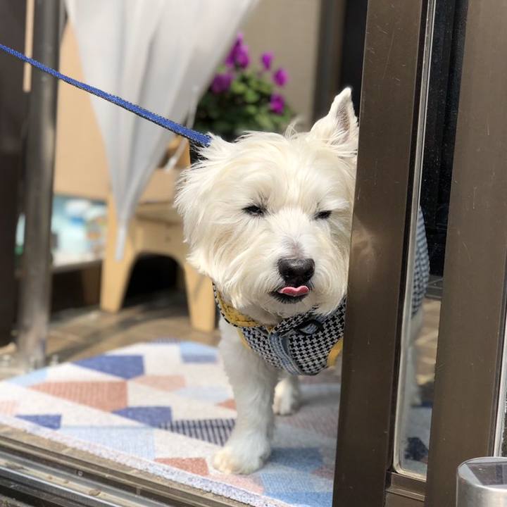 E9feeba1 4f48 4e24 9e70 1c5718ad32ae 1554646616963