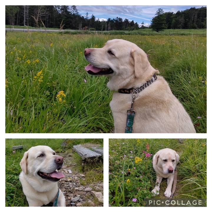 E9fefa2d 7c5f 4870 b8e8 831e2a26d471 1691477669739