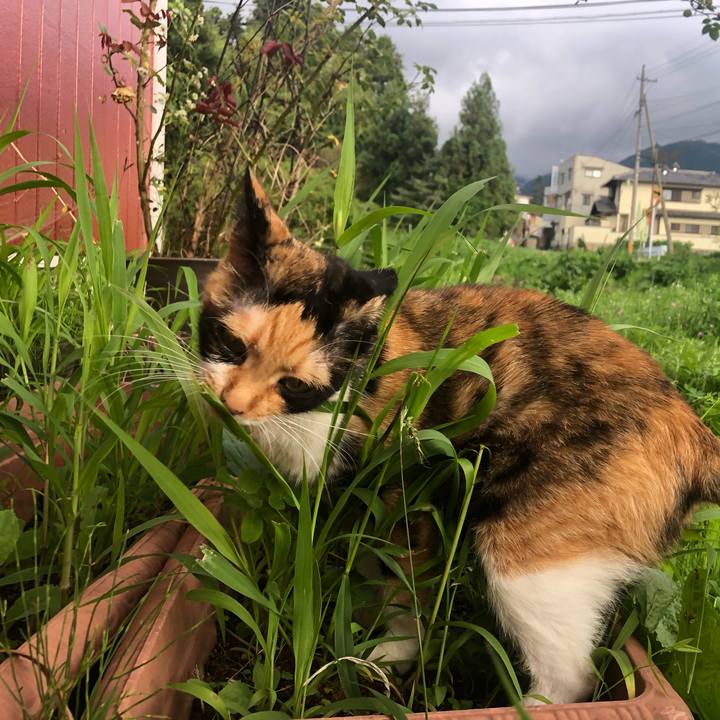 E9ff27ec 28e5 4396 adf6 6d5f49f582e3 1594559455125