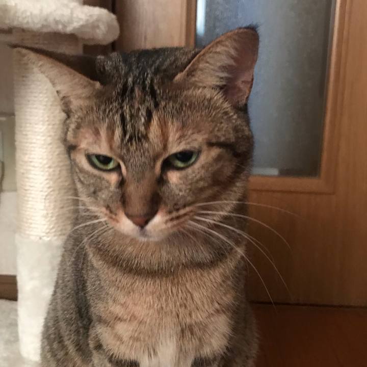 E9ff99c1 f19f 4fa1 bc87 4cca91c7b90f 1598141246269