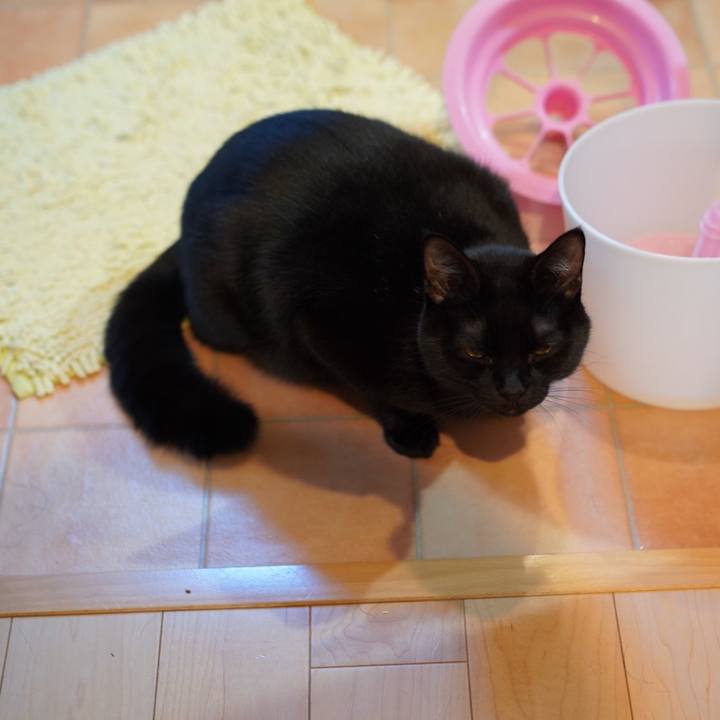 E9ffb85e e44a 4350 86d5 7c7654bc6187 1587133741829