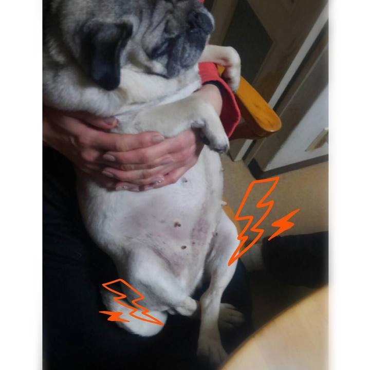 E9ffd612 489b 4c8b a0f1 8b6cb5a8cbd2 1514602841515