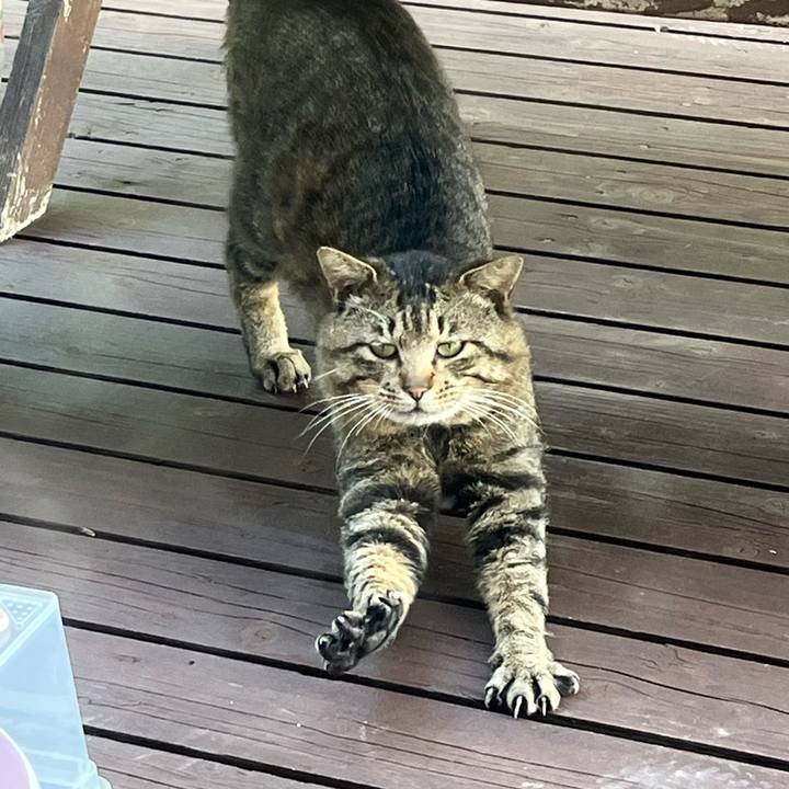 Ea004e7a bad6 4a72 aa0d f923a22daccf 1750318784102