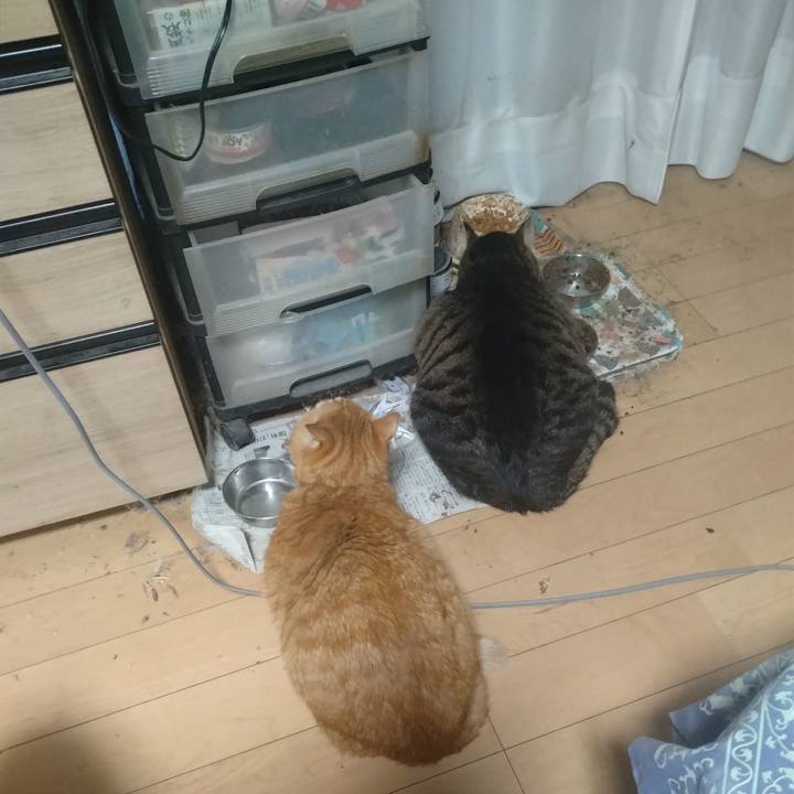 Ea005ec5 2ed2 4249 88f3 320222238afe 1711316072665