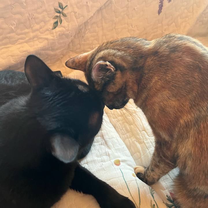 Ea006e76 d998 4850 8d23 42c0a9ed72ec 1670365092732