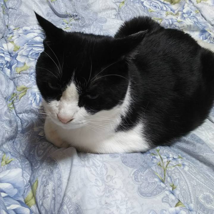 Ea0075ba 2bde 4254 9f34 c6dc732e00fc 1548189655166