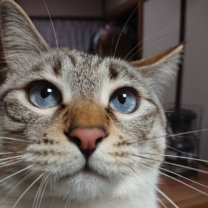 Ea009289 7219 455e a3b5 3bc9c336d127 1521711105144