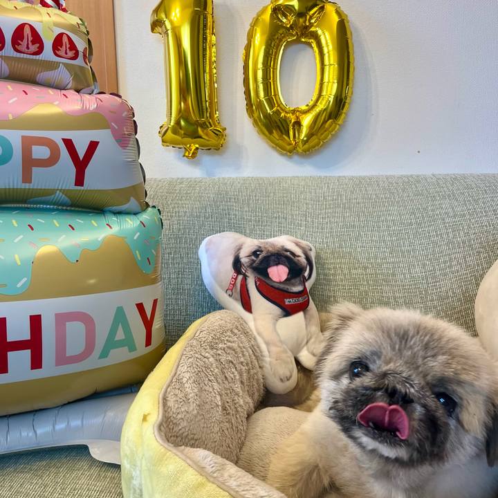 Ea009c1b 048e 4083 8169 9724ec690f84 1760485851173