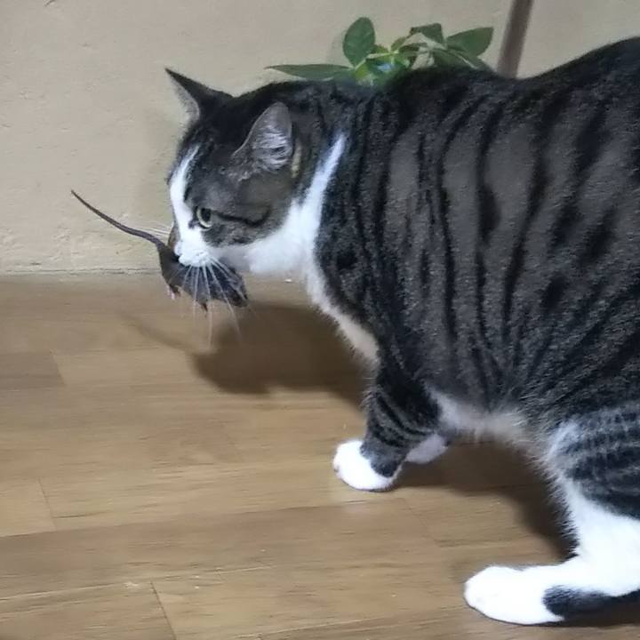 Ea00f1dd 93ea 4b42 ae2d dfe6e14075ba 1601731110179