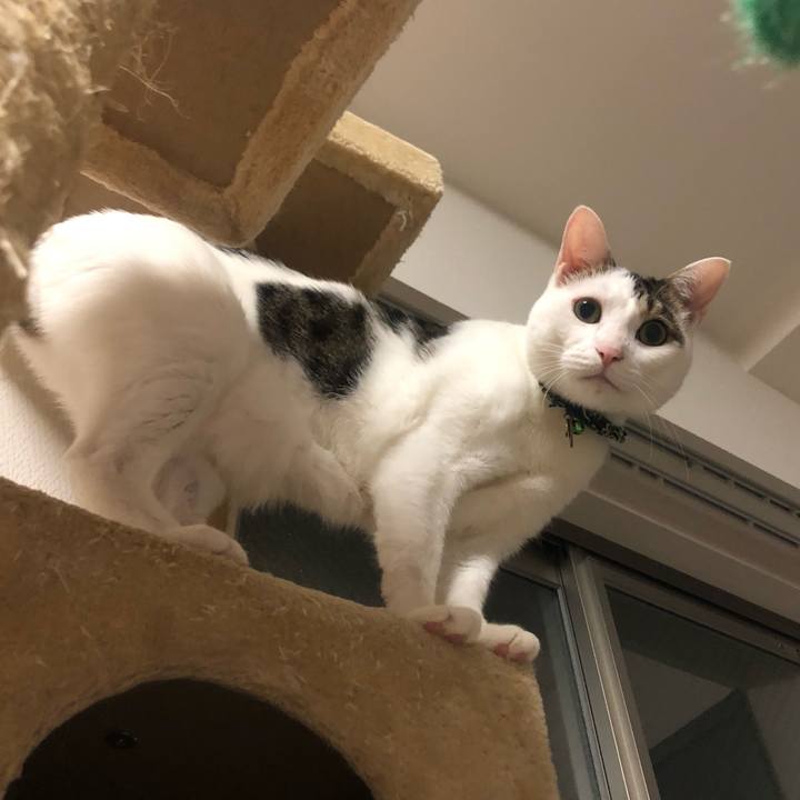 Ea00fde6 f91b 4c46 994b 3246f03d5e69 1572957925014