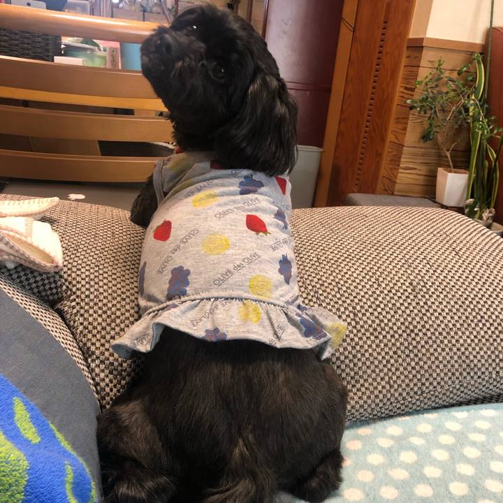 Ea0110a9 ec9c 4669 b3f8 f1908c43cf42 1589356503282