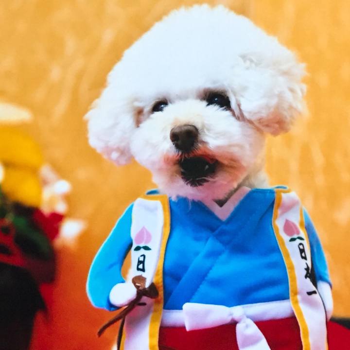 Ea0125e9 bd0b 4e75 8891 31a090108734 1511700703926