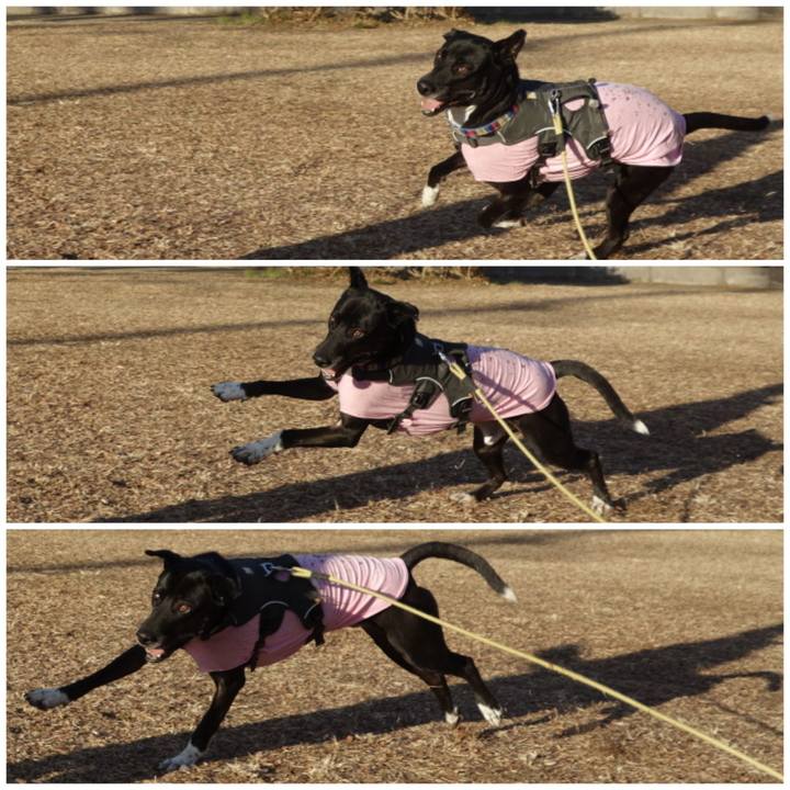 Ea0126cf f843 4fcf a264 2e16a04ac5ff 1644368451936