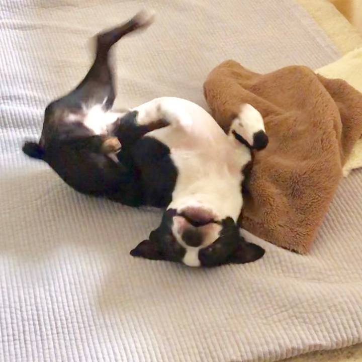 Ea0150b9 276a 474e 84d5 f7e6335aed34 1557231289679