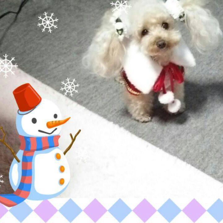 Ea017946 e7b5 449e 9c05 0712b68c7f48 1545745061903