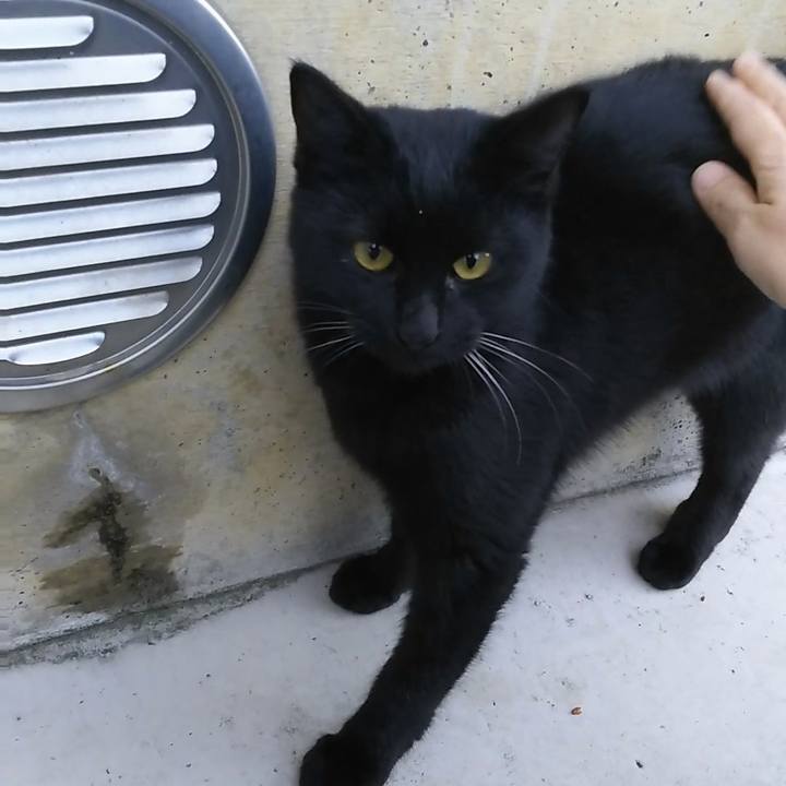 Ea0183fe 38ea 4039 ad41 95e9666518c0 1542320654850