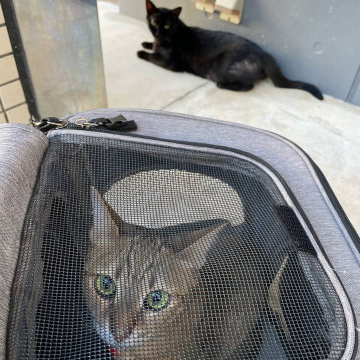 Ea01c402 ce2c 4d35 94f0 bf3a26f755cc 1722301227304