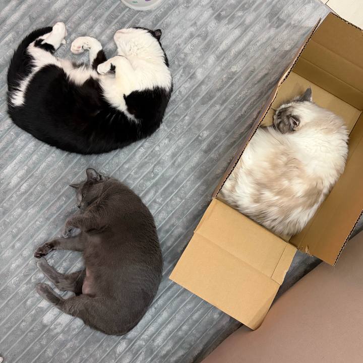 Ea01c8f2 9816 485a ba03 a38a42d7153d 1768224911828