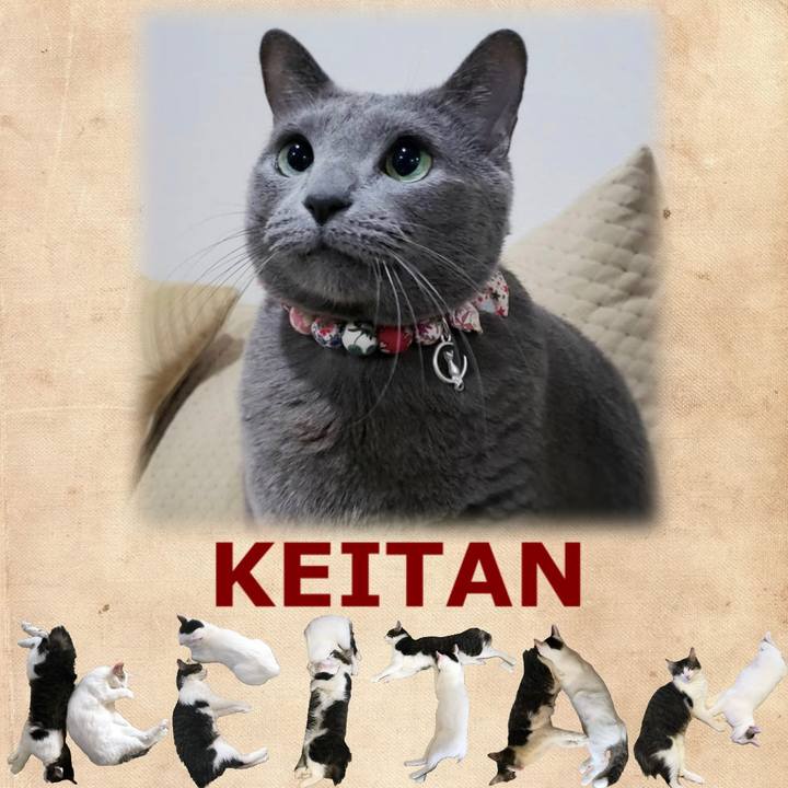 Ea01eb40 d8c4 4e4a 95ee 34f9a1e6da60 1667528493093