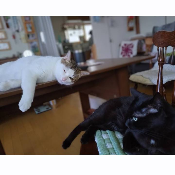 Ea01f648 1e4c 408d 895c e74f70cc216f 1754096830179