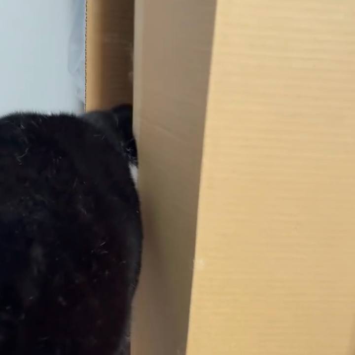 Ea021590 69d3 4813 9c21 3712bb28300a 1767445913455