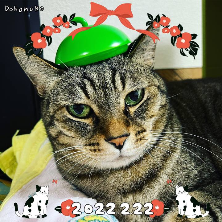 Ea025482 da5d 4bc3 a862 df7ef09b3a0a 1645515065498