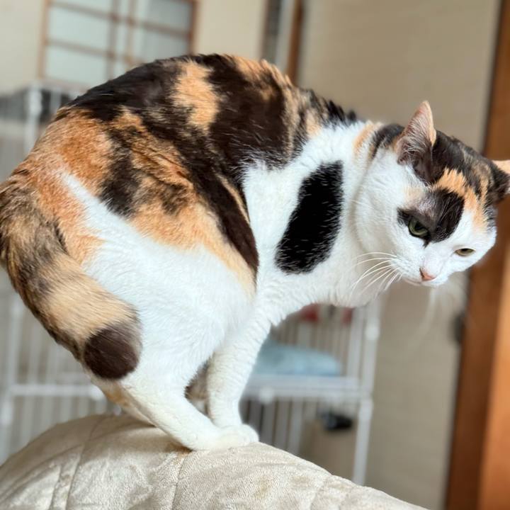 Ea026a62 0762 4401 ae25 ea29171751bb 1744942123304