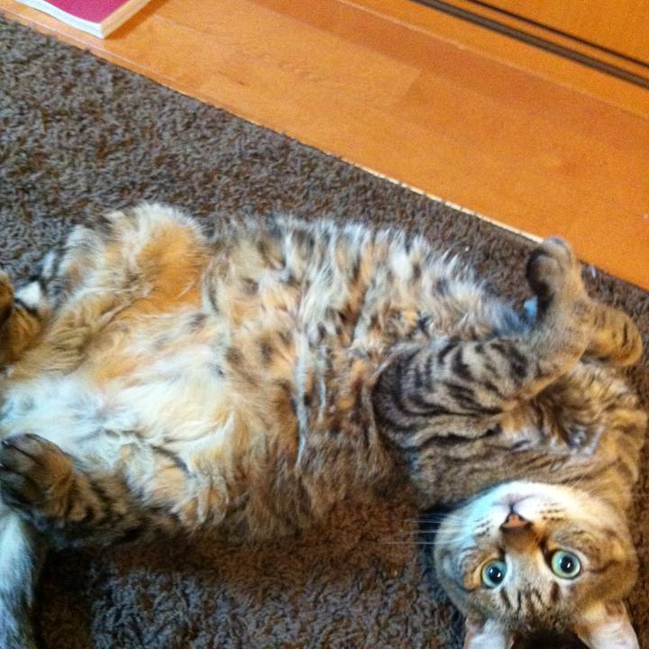 Ea0275eb 2677 4aca a052 b476754b52ed 1593604167088