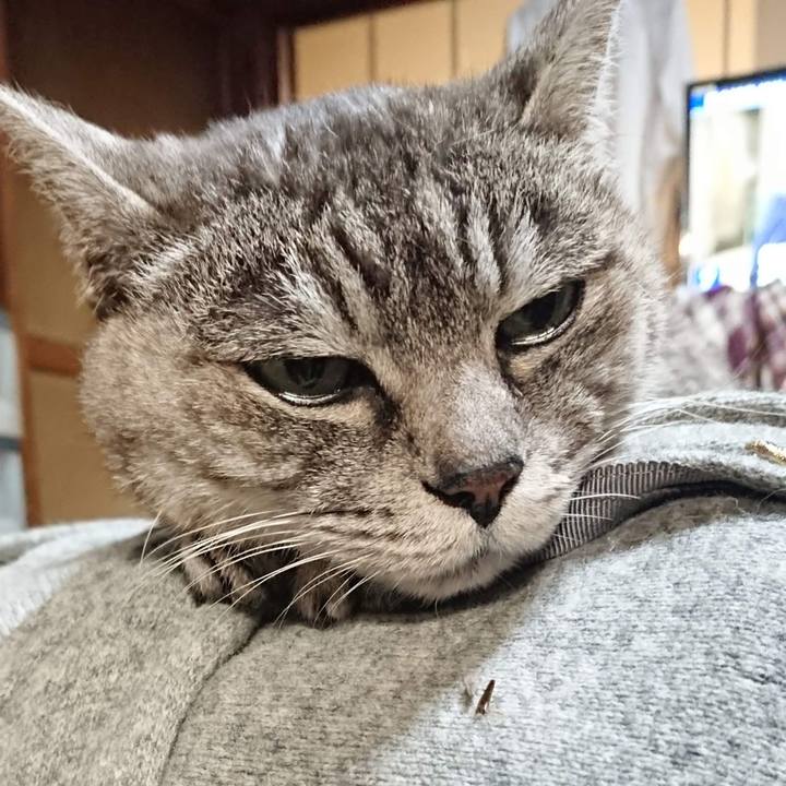 Ea02adb4 5ff8 4a83 9160 95fa1dd42e0c 1606337642222