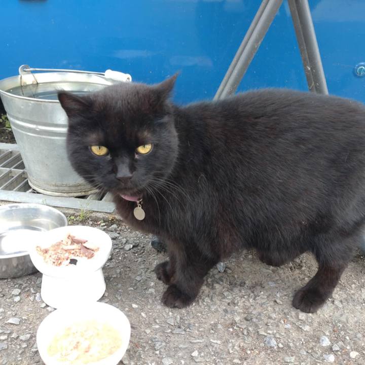 Ea02adec a2e1 410b b419 aa5a6c3120d9 1747351864748