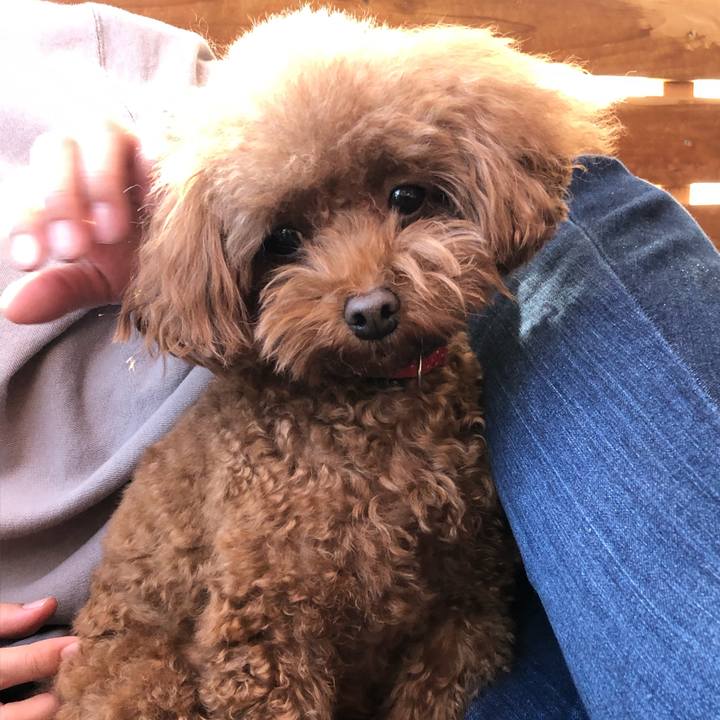 Ea02bf99 c541 409e 99e6 c9be48cf1fde 1605242490809