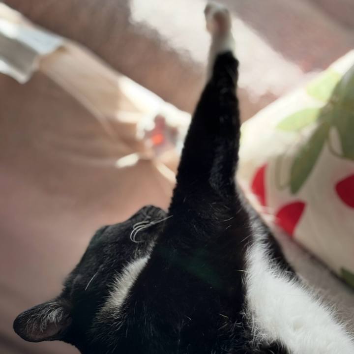 Ea02c001 fba9 45bb a5a1 9e7e3bd61fad 1760674812911